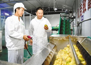 鎮坪 自愿留基層扶貧干部掠影